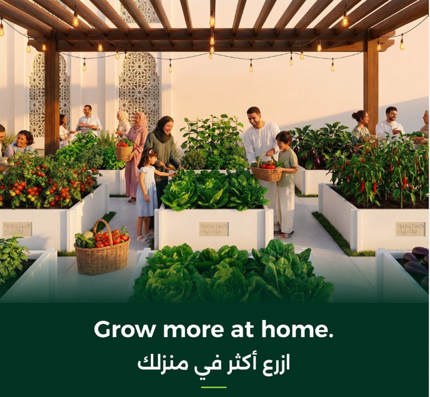 Families harvesting tomatoes, lettuce and peppers together in a NabaTech community garden